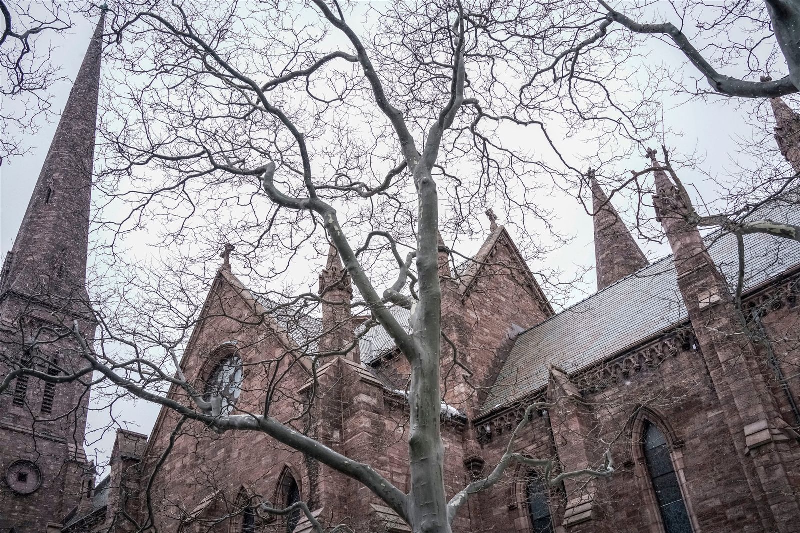 A Closer Look: St. Paul's Cathedral